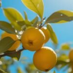 Welcome to Sea Salt & Lemons