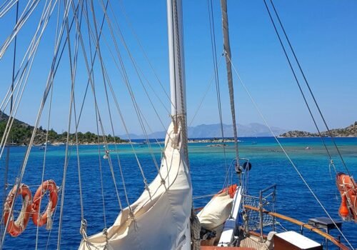 Build Your Own Cruise